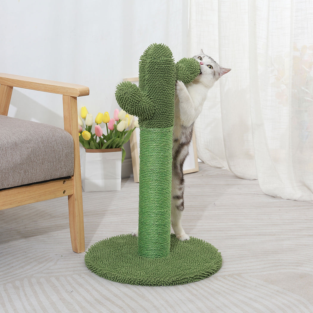 Kitten Climbing Scratcher Cactus Cat Scratching Posts Pole Tree Furniture Toys