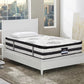 Amber Bed & Mattress Package with Drawers - White Single