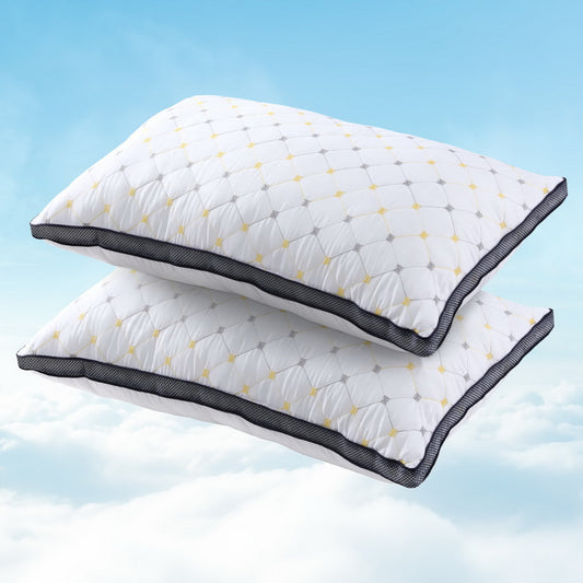 Set of 2 Pillows Microfibre - White