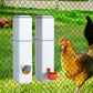 Chicken Feeder 4L Water Dispenser Automatic Waterer