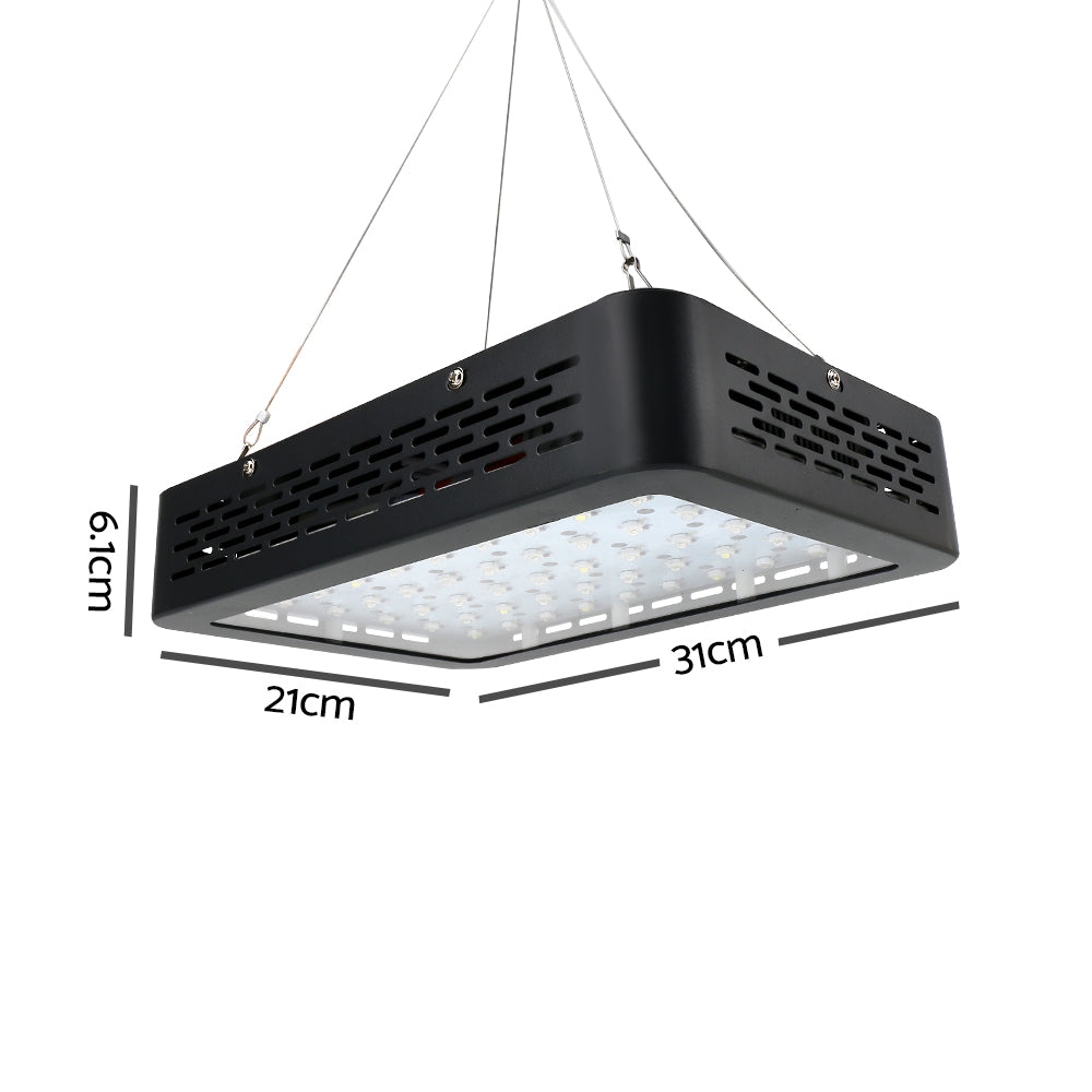 600W Grow Light LED Full Spectrum Indoor Plant All Stage Growth