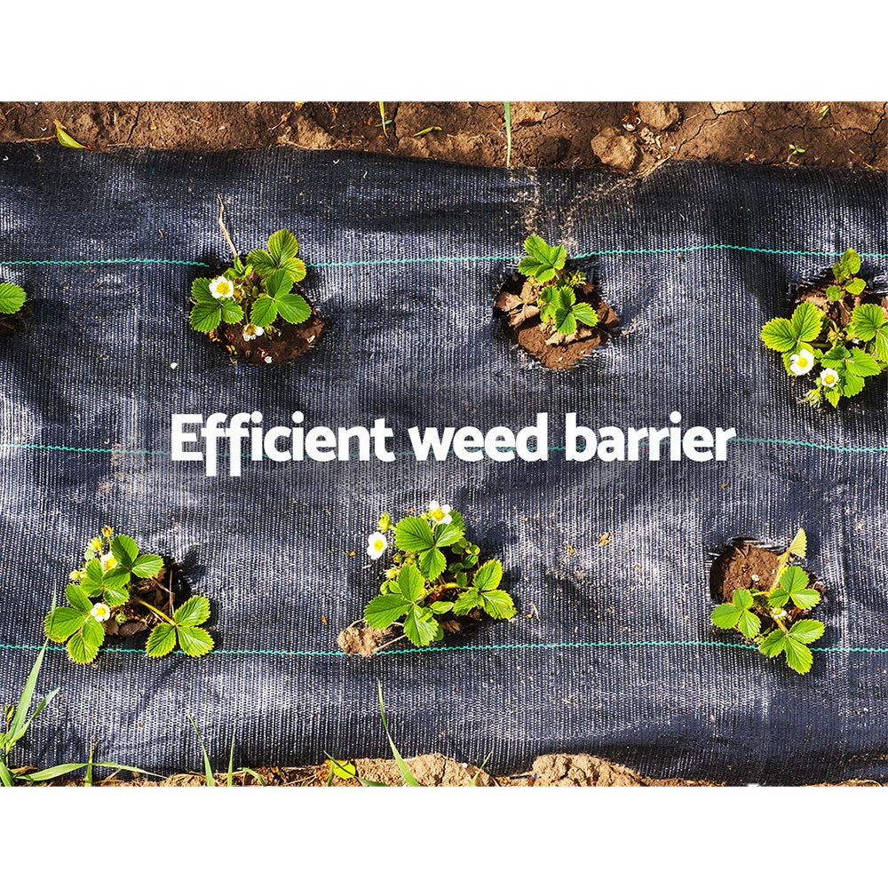 3.66mx50m Weedmat Weed Control Mat Woven Fabric Gardening Plant PE