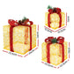 Christmas Lights Gift Box Set 3 PCS Set 48 LED Decorations