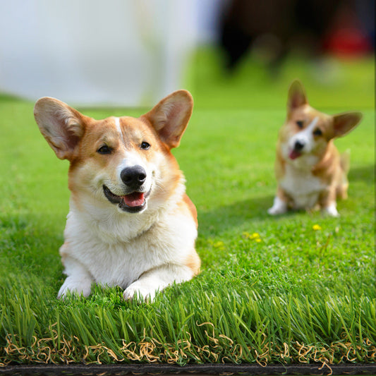 Done With Lawn Maintenance? This Artificial Grass Range Fixes It for Good
