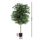 180cm Artificial Ficus Tree Faux Trees Indoor Decor Artificial Plants Lifelike Plant 1.8M