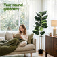 150cm Artificial Fiddle Tree Faux Trees Indoor Decor Artificial Plants Lifelike Plant 1.5M