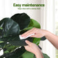 150cm Artificial Fiddle Tree Faux Trees Indoor Decor Artificial Plants Lifelike Plant 1.5M