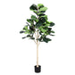 180cm Artificial Fiddle Tree Faux Trees Indoor Decor Artificial Plants Lifelike Plant 1.8M
