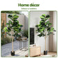 180cm Artificial Fiddle Tree Faux Trees Indoor Decor Artificial Plants Lifelike Plant 1.8M