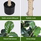 180cm Artificial Fiddle Tree Faux Trees Indoor Decor Artificial Plants Lifelike Plant 1.8M