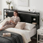Bed Headboard Queen Storage Charging Station - Black Queen