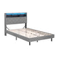 Solenne Bed Frame LED Base Platform with Storage Shelf Hidden Storage Box - Grey King Single