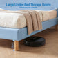 Calix Bed Frame Upholstered Bear Headboard Waterproof Leather - Blue King Single