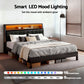 Rowan Bed Frame LED Storage Headboard with Charging Station - Black Double