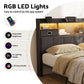 Corsica Bed Frame with 2 Storage Drawers & Headboard USB Charging Station, RGB LED Light - Dark Grey Queen