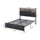 Muse Bed Frame with LED Lights Storage Headboard - Black Double