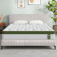 Larimar Bed & Mattress Package with 34cm Mattress Base Pocket Coil Linen Upholstered - Beige Queen