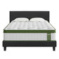 Beryl Bed & Mattress Package with 34cm Mattress Upholstered Hybrid Pocket Coil - Charcoal Double