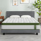 Jasper Bed & Mattress Package with 34cm Mattress Hybrid Leather Frame Medium - Grey King