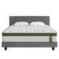 Jasper Bed & Mattress Package with 34cm Mattress Hybrid Leather Frame Medium - Grey King