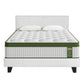 Jasper Bed & Mattress Package with 34cm Mattress Hybrid Leather Frame Medium - White Queen