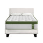 Jasper Bed & Mattress Package with 34cm Mattress Headboard Medium Firm Hybrid - White Single