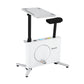 Everfit Exercise Bike Magnetic Desk Bike with Tabletop Fitness Home Workout Gym