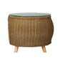 Ireni Coffee Side Table Wicker Aluminium Desk Pet Bed Storage Outdoor Furniture