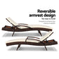Ashby Outdoor Sun Lounge Wicker with Armrest Chair and Cushion - Brown