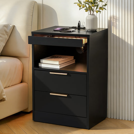 Cobourg LED Nightstand Bedside Table Charging Station with 2 Drawers - Black