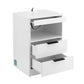 Cobourg LED Nightstand Bedside Table Charging Station with 2 Drawers - White