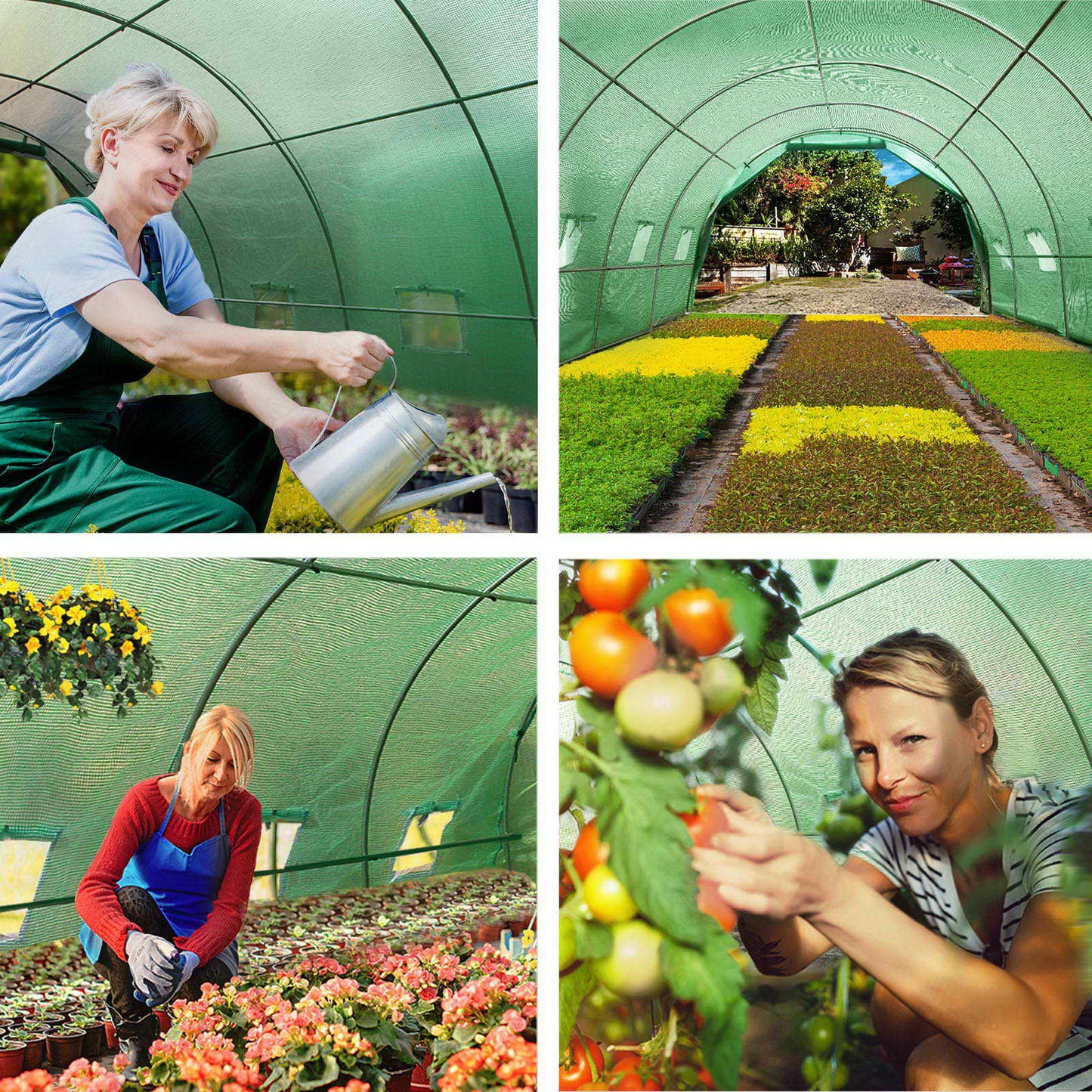 Greenfingers Greenhouse 6x3x2M Walk in Green House Tunnel Plant Garden Shed Dome