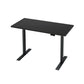 Artiss Standing Desk Motorised Dual Motor Black 120cm