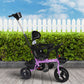 Kids Tricycle Ride On Trike Toddler - Purple