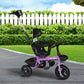 Kids Tricycle Ride On Trike Toddler - Purple