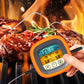 Digital Food Thermometer BBQ 2 Probe