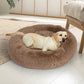 XXXLarge Dog Beds Pet Mattress Bedding - Brown