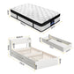 Lazulite Bed & Mattress Package with 31cm Mattress Wooden Storage 5-zone Pocket Spring - White Single