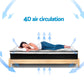 Factory Buys 32cm Euro Top Mattress - King
