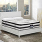Gaiety Ensemble Bed Base & Mattress Package with 34cm Mattress - Grey Double