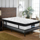 Neptune Bed & Mattress Package with 31cm Mattress - Black Single