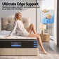Osbert 35cm Mattress Firm with Copper Memory Foam and Edge Support - King Single