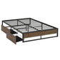 Scott Bed Frame Metal Frame Size Bed Base 2 Drawers - Black Double