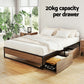 Scott Bed Frame Metal Frame Bed Base 2 Drawers - Black Queen