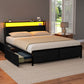Nestora Metal Bed Frame with 2-Tier Storage Headboard Metal Platform - Black Queen