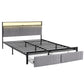 Helena Metal Bed Frame LED Charging Station 2 Drawers - Black King