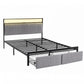 Helena Metal Bed Frame LED Charging Station 2 Drawers - Black Queen