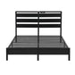 Dreamora Bed Frame LED Metal Bed Base with Charging Station - Black Queen