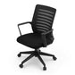 Artiss Ergonomic Office Chair Mesh Computer Chairs with Lumbar Support Black