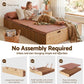 Brook Folding Kraft Paper Bed Frame with Mattress and Pillow - Brown